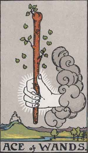 ワンドエース Ace of Wands
